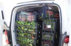 La Protezione Animali ha rifornito il circo Millennium