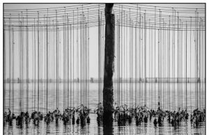 Premio Fotografico Nazionale Mitilicoltori della Spezia