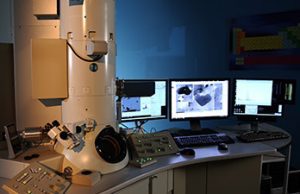 RINA, leader della sicurezza e delle infrastrutture