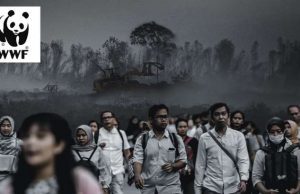 Un report del WWF Italia spiega l’emergenza sanitaria