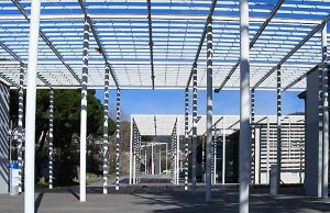 A Savona ci si laurea anche a distanza: il Campus non teme il coronavirus