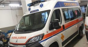 Cane Setter scappa da un camper in porto e precipita dalla Sopraelevata: è salvo