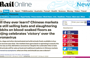 Cina: riaperti mercati con pipistrelli, cani e gatti vivi da macello. Non impareranno mai?