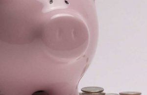 Rubato il salvadanaio per la raccolta fondi dell’Enpa di Savona