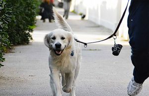 Emergenza coronavirus, chiarimenti al Ministero della Salute