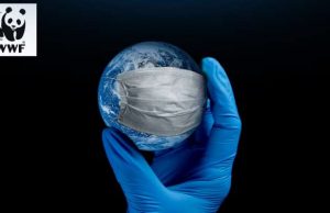 Il legame tra il cambio di clima e le malattie trasmissibili