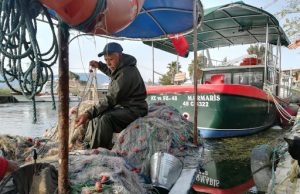 Tra le vittime anche la nostra piccola pesca