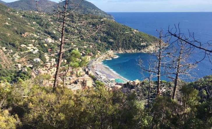 Il Posto Piu Sicuro Al Mondo E In Liguria A Bonassola Zero Contagi Tra I Residenti