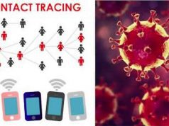 Dubbi sull’app Immuni, Copasir chiede intervento dei servizi