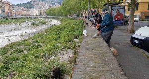 Decreto anti Covid-19, c'è chi se ne frega e dà da mangiare ai cinghiali