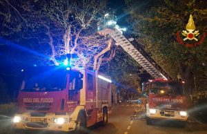 Vento forte, cadono rami sulla strada a Savona: intervengono i VVF