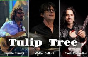 In arrivo il singolo dei Tulip Tree tra pochi giorni