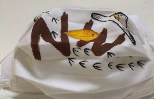 Il canarino Nelson porta le sue mascherine ai bambini degli ospedali italiani