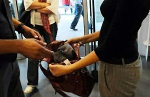 Malgrado ordine di dimora dominicana continua a rubare: arrestata Il taccheggio nel mirino degli uomini della Polizia Locale