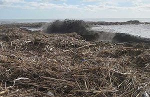 Legname bruciato in spiaggia, nella notte vento riaccende le fiamme