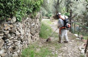 Recco, pulizia dei sentieri per evitare incendi boschivi