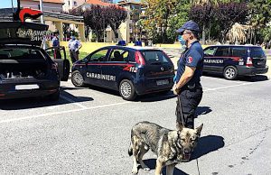 Controlli dei Carabinieri di Albenga con cani antidroga