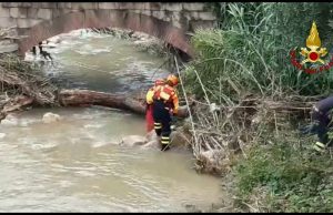 Albero cade sulla massicciata della ferrovia a Loano | Video