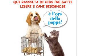 Oggi punto Enpa a Savona in via Puccini per la raccolta alimenti gatti e cani