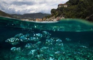 A Levanto un Festival dedicato alle bande musicali
