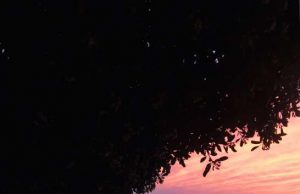 Ritorna lo Skipper sabato 4 Luglio a Cavi di Lavagna