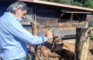 Assessore Mai: Enpa Savona riceve più soldi di tutti, Buzzi smetta di dire baggianate