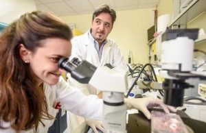 IIT Genova: realizzata la prima protesi liquida della retina