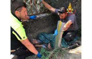 Anziano disperso sopra Sassello: ritrovato dai VVF e dal Nucleo Cinofili