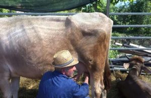 A Varese Ligure torna il 6 settembre, il Vallebio Festival