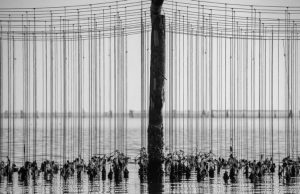 II° Premio fotografico nazionale mitilicoltori Spezia