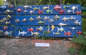 24 mostre d’ Arte nella Riviera di Ponente ed a Genova