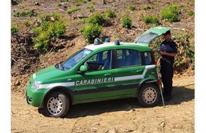 I Carabinieri Forestali intensificano i controlli nei boschi del savonese