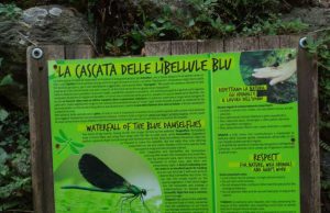Ferragosto a Rialto alla Cascata delle Libellule