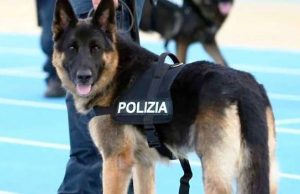 A Savona la Polizia trova fucile rubato e munizioni: 34enne arrestato
