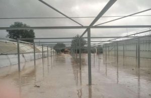 Albenga, solita conta dei danni per le prime precipitazioni