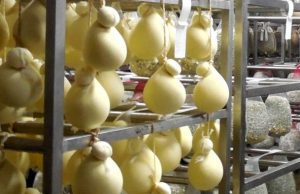 Misure di sostegno per i settori lattiero-caseario e avicolo