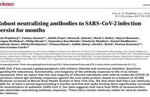Anticorpi Covid persistono mesi, prof. Bassetti: buone notizie in Italia non vengono date