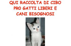 Venerdì 9 ottobre volontari Enpa in via Puccini in aiuto di gatti e cani