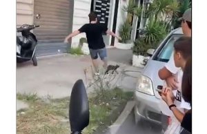 Bullo a Casoria uccide gattino con un calcio, la denuncia di LNDC