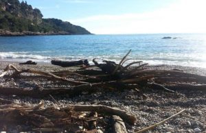 Recco, plastic free, sabato pomeriggio pulizia della spiaggia