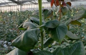 Tempi rapidi e procedure semplici, dal decreto Ristori