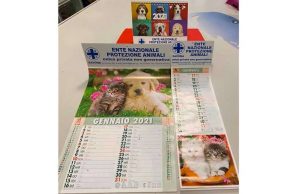 Un calendario per aiutare l’Enpa nella sterilizzazione dei gatti
