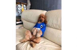 Ferrero e il Cane amico con la maglia blucerchiata su Twitter