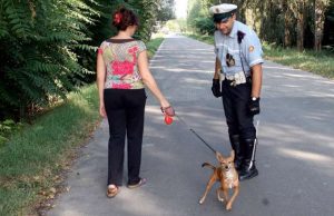 Recco, controllo della Polizia locale su cani e deiezioni