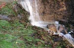 Ghione, Confagricoltura Imperia, molto positivo il risultato