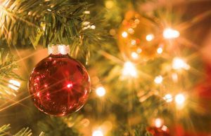 Progetto di Natale per le vie di Albisola Superiore