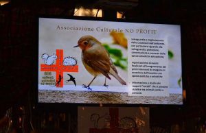 Sos animali selvatici ed esotici. Salviamo gli orsi: una storia di famiglie