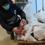 Val di Magra, Guardia Costiera sequestra a noto ristorante 10 kg di pesce