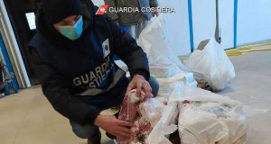 Val di Magra, Guardia Costiera sequestra a noto ristorante 10 kg di pesce