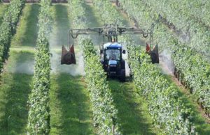 Agricoltura, riforma del servizio fitosanitario